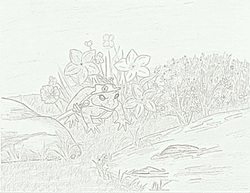 The Littlest Frog coloring page 1